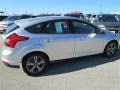 Ingot Silver - Focus SE Hatchback Photo No. 3