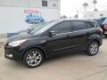 2014 Tuxedo Black Ford Escape Titanium 2.0L EcoBoost  photo #2