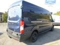 Blue Jeans Metallic - Transit Van 250 MR Long Photo No. 2