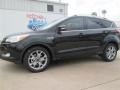 2014 Tuxedo Black Ford Escape Titanium 2.0L EcoBoost  photo #41