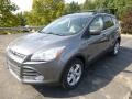 2014 Sterling Gray Ford Escape SE 1.6L EcoBoost 4WD  photo #4