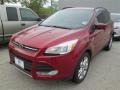 2014 Ruby Red Ford Escape SE 1.6L EcoBoost  photo #32
