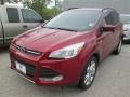 2014 Ruby Red Ford Escape SE 1.6L EcoBoost  photo #67