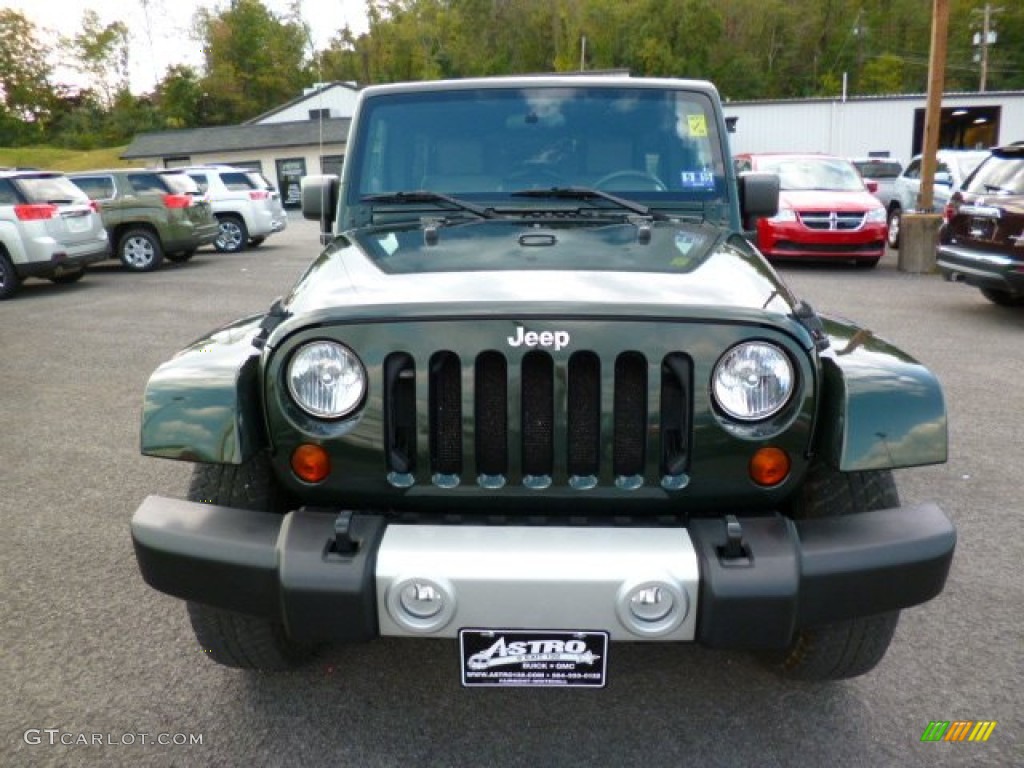 2010 Wrangler Unlimited Sahara 4x4 - Natural Green Pearl / Dark Khaki/Medium Khaki photo #2
