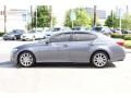 Nebula Gray Pearl - GS 350 Photo No. 6