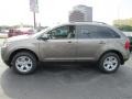 2014 Mineral Gray Ford Edge SEL  photo #3
