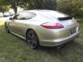 GT Silver Metallic - Panamera 4 Photo No. 3