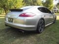 GT Silver Metallic - Panamera 4 Photo No. 4