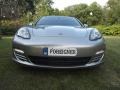 GT Silver Metallic - Panamera 4 Photo No. 11