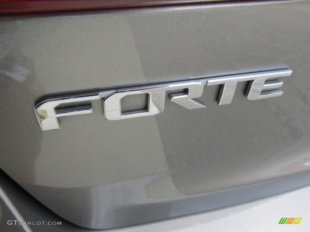 2013 Forte SX - Titanium / Black photo #8