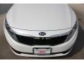 Snow White Pearl - Optima EX Photo No. 2