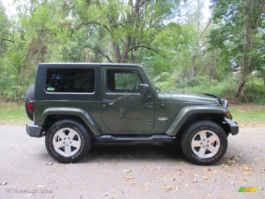 2009 Wrangler Sahara 4x4 - Jeep Green Metallic / Dark Slate Gray/Medium Slate Gray photo #1