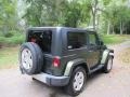 2009 Jeep Green Metallic Jeep Wrangler Sahara 4x4  photo #2