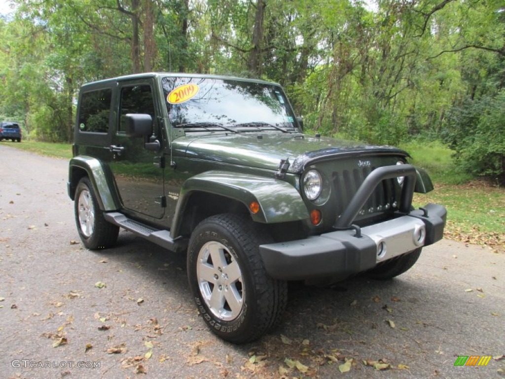 2009 Wrangler Sahara 4x4 - Jeep Green Metallic / Dark Slate Gray/Medium Slate Gray photo #3