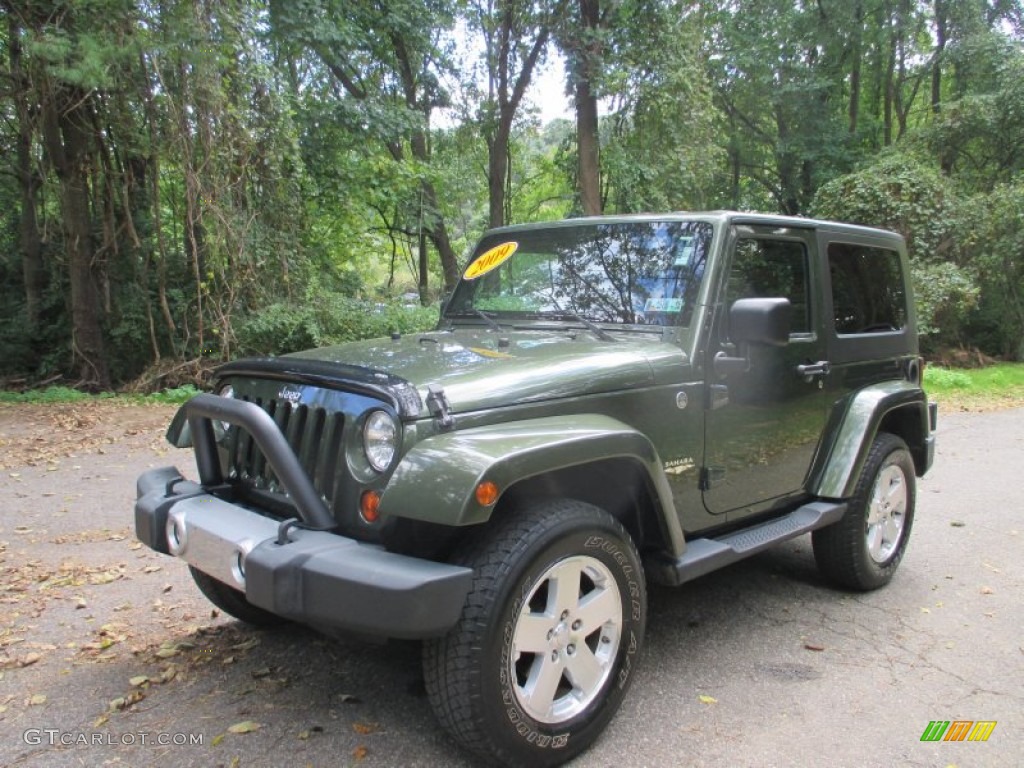 2009 Wrangler Sahara 4x4 - Jeep Green Metallic / Dark Slate Gray/Medium Slate Gray photo #5