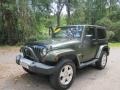 Jeep Green Metallic - Wrangler Sahara 4x4 Photo No. 5