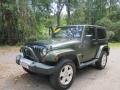 2009 Jeep Green Metallic Jeep Wrangler Sahara 4x4  photo #5