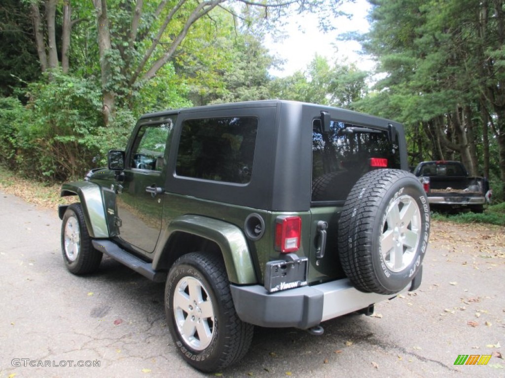 2009 Wrangler Sahara 4x4 - Jeep Green Metallic / Dark Slate Gray/Medium Slate Gray photo #6