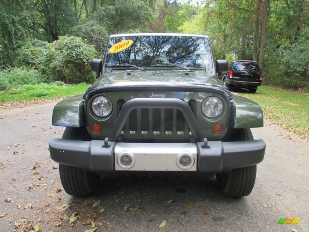 2009 Wrangler Sahara 4x4 - Jeep Green Metallic / Dark Slate Gray/Medium Slate Gray photo #7