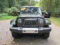 Jeep Green Metallic - Wrangler Sahara 4x4 Photo No. 7