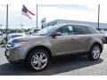 2014 Mineral Gray Ford Edge Limited  photo #3