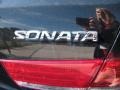 Ebony Black - Sonata GLS Photo No. 13