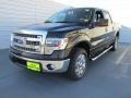 2014 Tuxedo Black Ford F150 XLT SuperCrew  photo #7