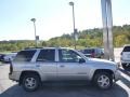 Silverstone Metallic - TrailBlazer LS 4x4 Photo No. 4