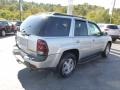 Silverstone Metallic - TrailBlazer LS 4x4 Photo No. 5