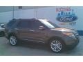 2015 Caribou Ford Explorer Limited  photo #42