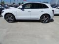 Glacier White Metallic - Q5 3.0 TDI Premium Plus quattro Photo No. 4