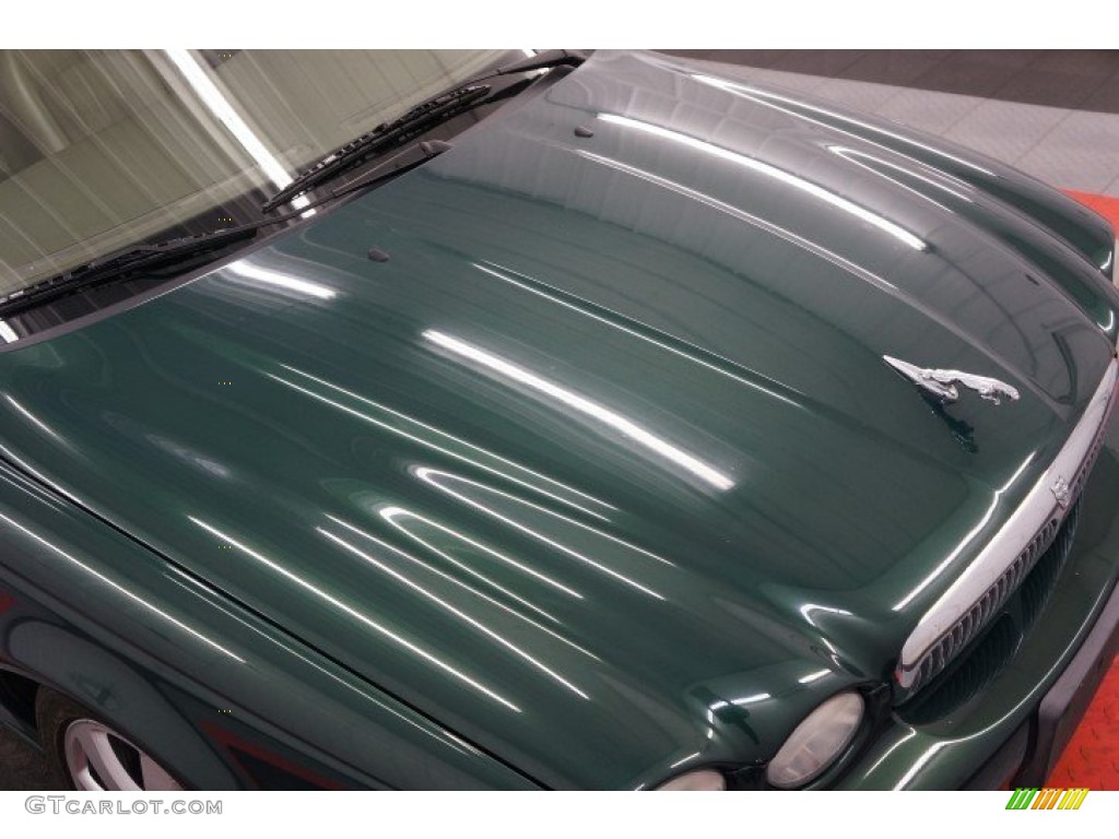 2004 X-Type 3.0 - Jaguar Racing Green Metallic / Champagne photo #39