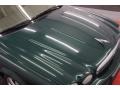 Jaguar Racing Green Metallic - X-Type 3.0 Photo No. 39