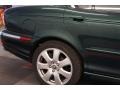 Jaguar Racing Green Metallic - X-Type 3.0 Photo No. 47