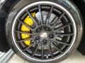 2013 Porsche Panamera Turbo Wheel and Tire Photo
