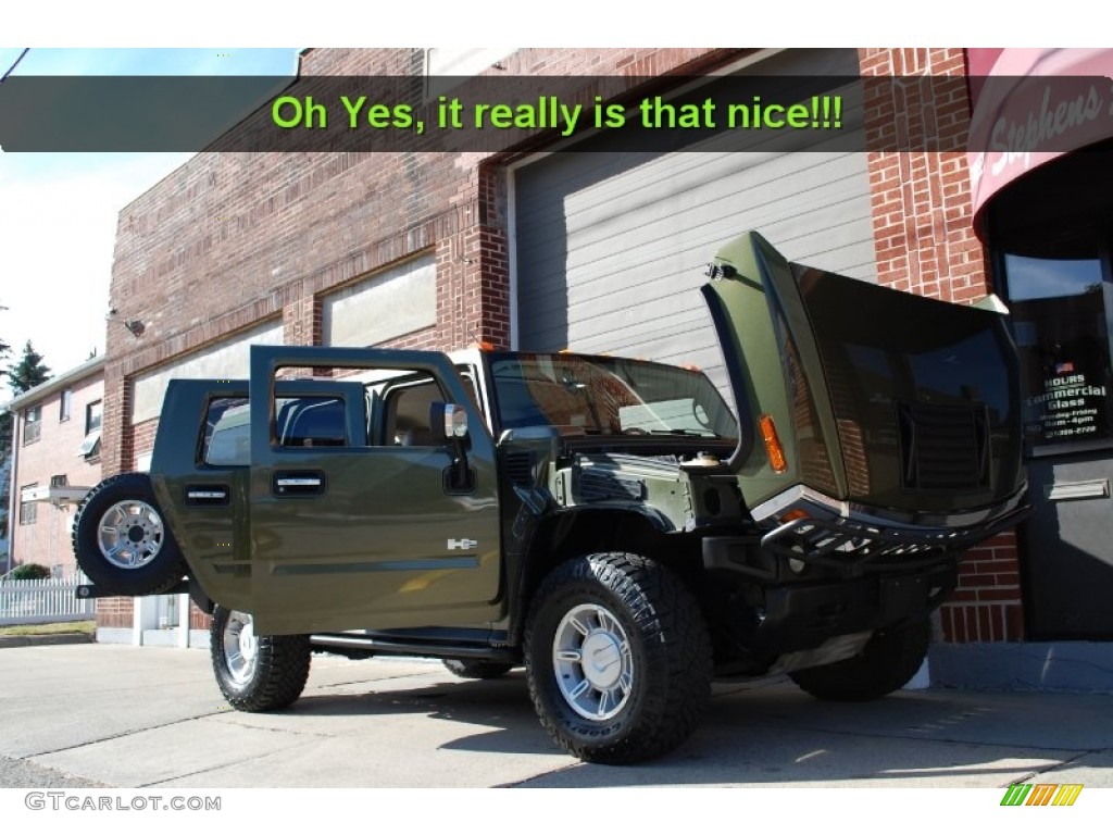 2003 H2 SUV - Sage Green Metallic / Wheat photo #39