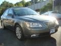 2009 Willow Gray Hyundai Sonata Limited  photo #3