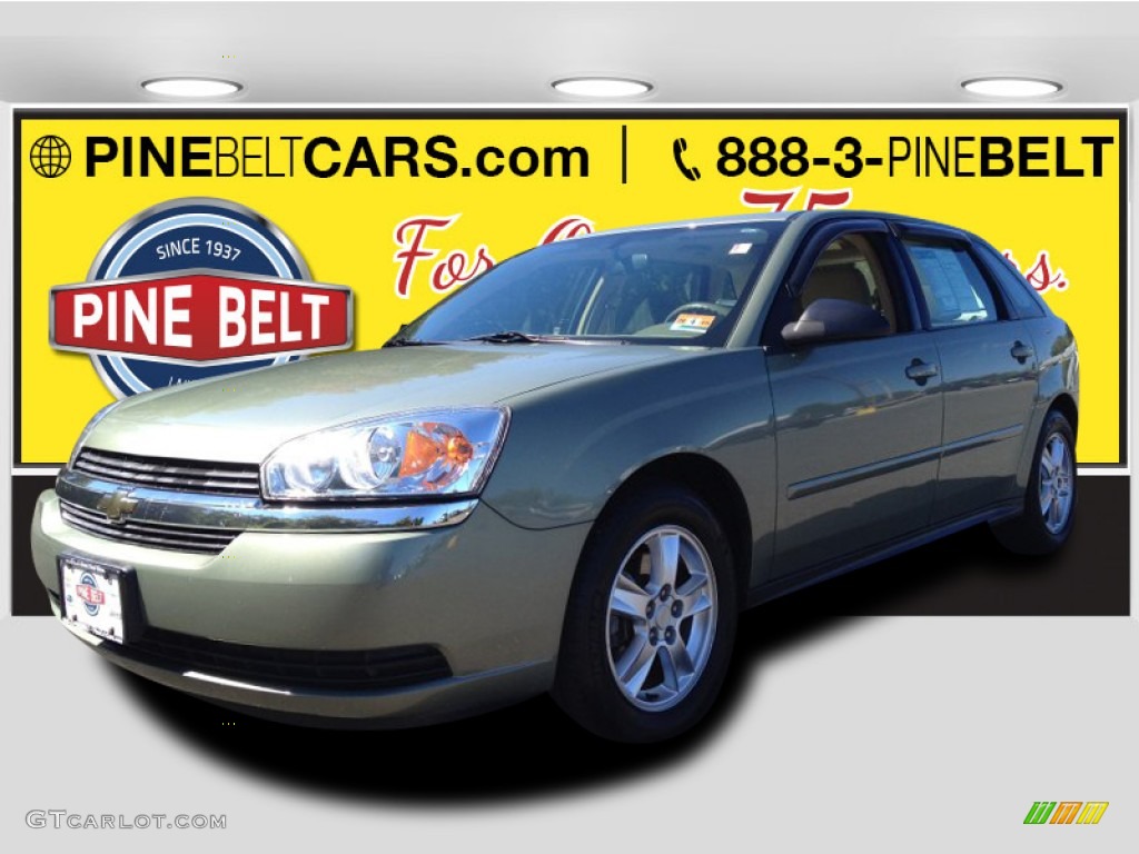 2005 Malibu Maxx LS Wagon - Silver Green Metallic / Gray photo #1