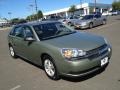 2005 Silver Green Metallic Chevrolet Malibu Maxx LS Wagon  photo #3