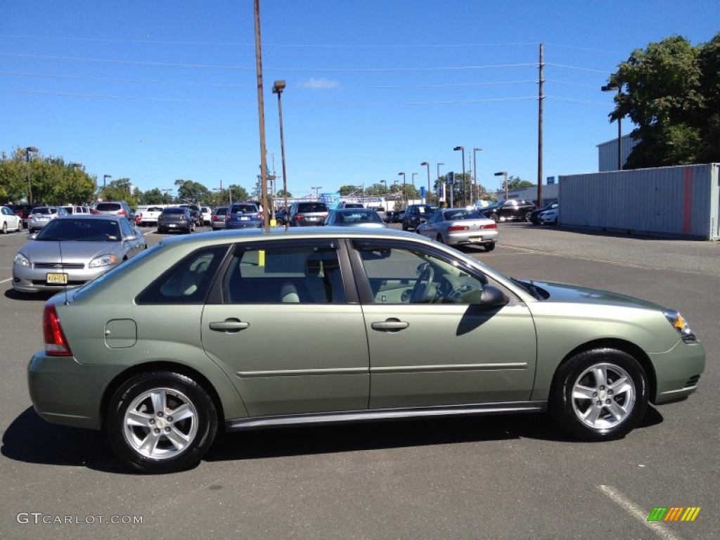 2005 Malibu Maxx LS Wagon - Silver Green Metallic / Gray photo #5