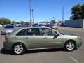 2005 Silver Green Metallic Chevrolet Malibu Maxx LS Wagon  photo #5