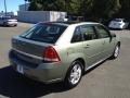 2005 Silver Green Metallic Chevrolet Malibu Maxx LS Wagon  photo #7