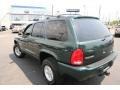 1999 Forest Green Pearlcoat Dodge Durango SLT 4x4  photo #9