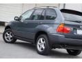 Steel Grey Metallic - X5 3.0i Photo No. 29