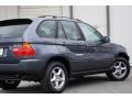 Steel Grey Metallic - X5 3.0i Photo No. 30