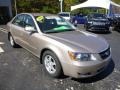 Golden Beige - Sonata GLS Photo No. 7