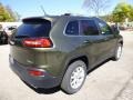 2015 ECO Green Pearl Jeep Cherokee Latitude 4x4  photo #5