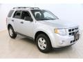 Ingot Silver Metallic - Escape XLT Photo No. 1