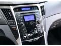 Radiant Silver - Sonata GLS Photo No. 12