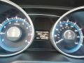 Shimmering White - Sonata GLS Photo No. 20